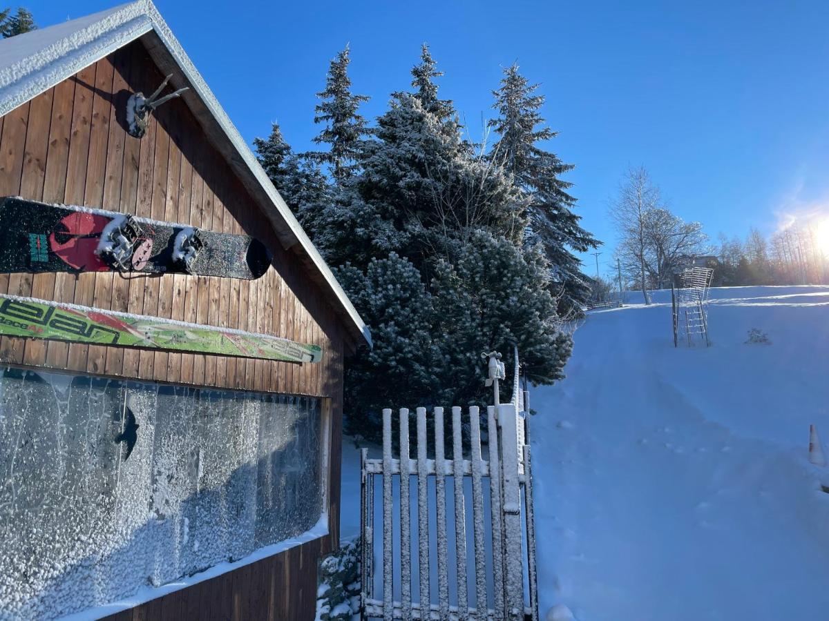Loučná pod Klínovcem Wolf House Klinovec酒店 外观 照片